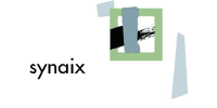 synaix IT GmbH