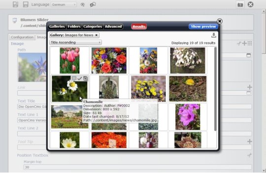 Organizing images in galleries