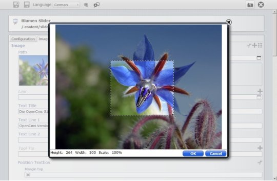 Ausschneiden von Bildbereichen mit OpenCms Bildergalerie