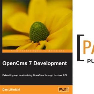 Cover of the book 'OpenCms 7 Development'