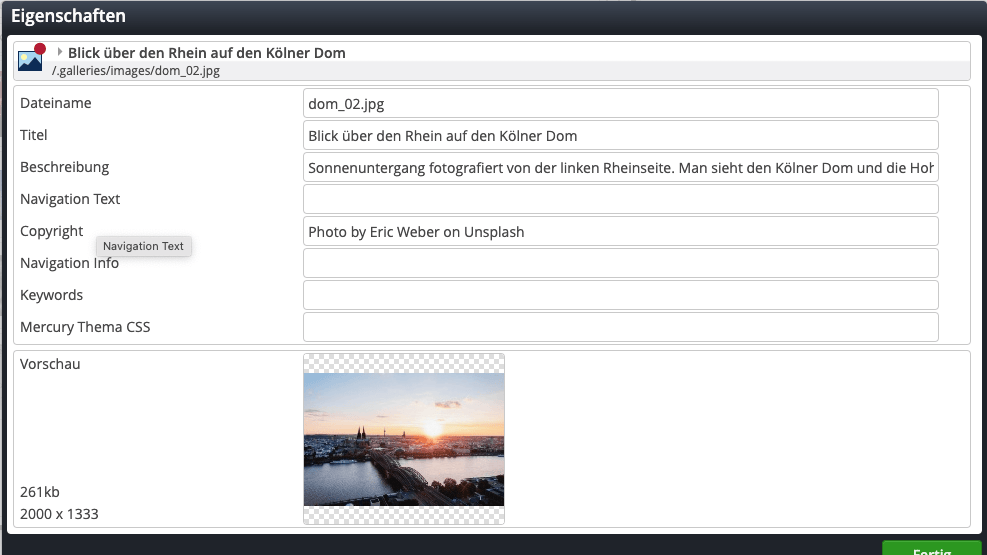 Property dialog when uploading an image