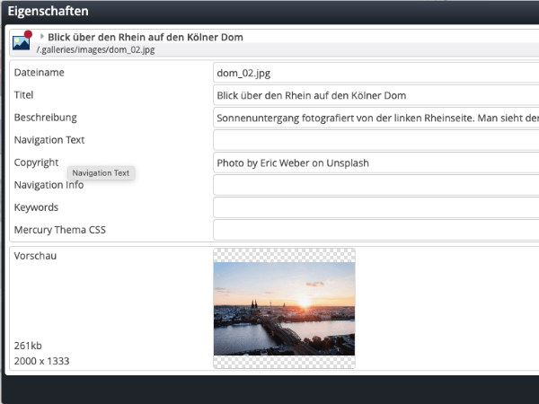 Property dialog when uploading an image